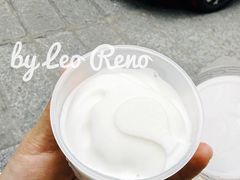 -洪馨椰子