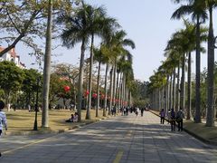 -厦门大学(思明校区)