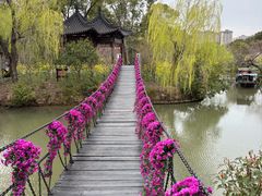 -南汇桃花村