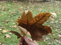 -四川大学(华西校区)