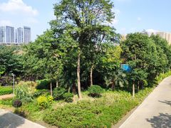 -府河摄影公园