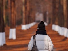 -黄海国家森林公园