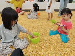 -麻涌飞鸭开心农场