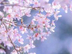 -苏州上方山国家森林公园