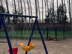 -宠乐会宠物乐园