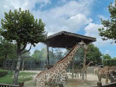 -上海野生动物园