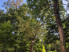 -北海道厅旧本厅舍(旧本庁舎)