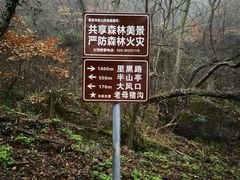 -南京老山国家森林公园
