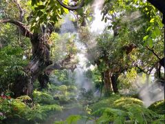 -Chom Cafe and Restaurant