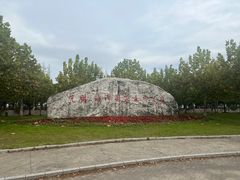 -上海海湾国家森林公园