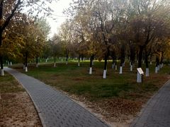 -潇河湿地公园