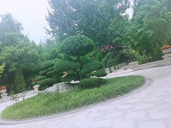 -济南植物园