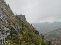 -秦岭风景区