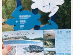 -广东惠东海龟国家级自然保护区