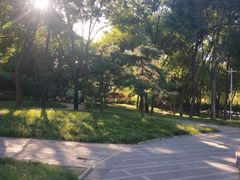-南长河公园