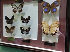 -上海昆虫博物馆