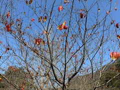 -春雪面馆(转塘店)