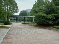 -大望京公园