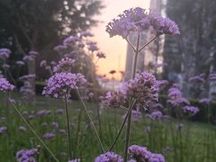 -北京东三环希尔顿逸林酒店