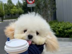 -沈阳铁西万象汇
