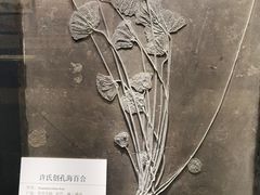 -大连自然博物馆