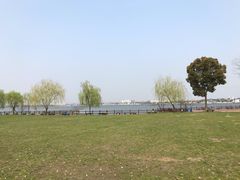 -鹅湖玫瑰文化园