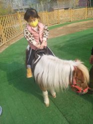 -萌宠亲子动物乐园(槐房万达店)