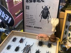-杭州来福士中心