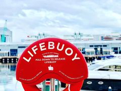 -墨尔本之星 观景摩天轮