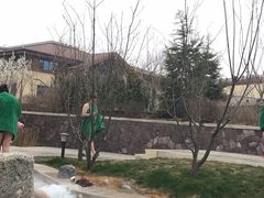 -大连金石滩绿发温泉假日酒店