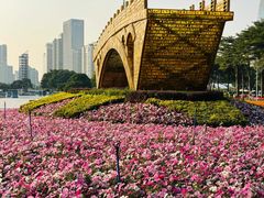 -海心沙(地铁站)