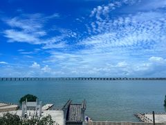 -宝安西湾红树林湿地公园