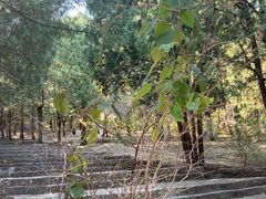 -青州市云门山风景区