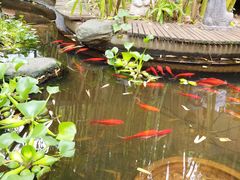 -新竹里馆·花园餐厅(兴苑路店)