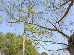 -南宁花花大世界景区