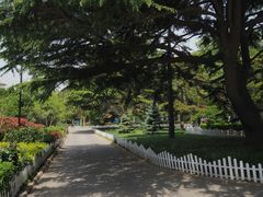 -青岛德国总督楼旧址博物馆