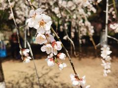 -白塘生态植物园