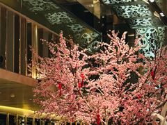 -金轩中餐厅 Jin Xuan(浦东丽思卡尔顿酒店)