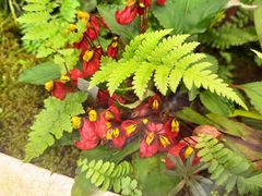 -国家植物园南园