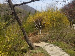 -小田乌鱼排(济宁总店)