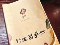 -滇野云南野生菌餐厅(陕西南路店)