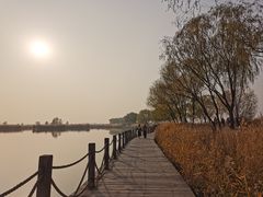 -野鸭湖国家湿地公园