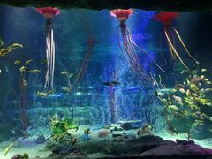 -沈阳海洋探索中心