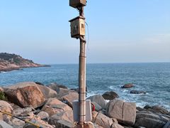 -广东惠东海龟国家级自然保护区