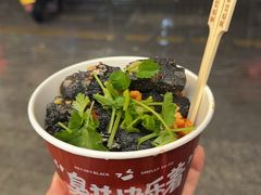 -黑色经典臭豆腐·湖南特产(坡子街店)