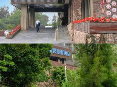 -南麂列岛