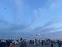 -星海广场