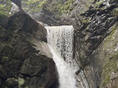 -牛背梁国家森林公园