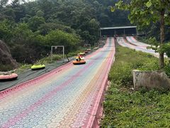 -南丹山森林王国