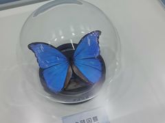 -泰山大剧院